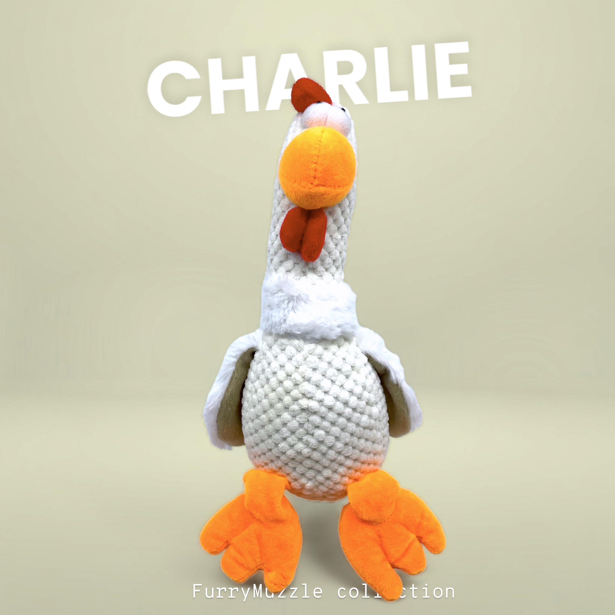 Charlie Chicken