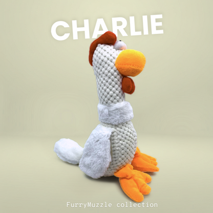 Charlie Chicken